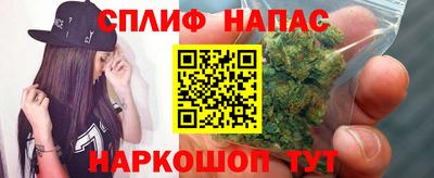 гашик Жуковский
