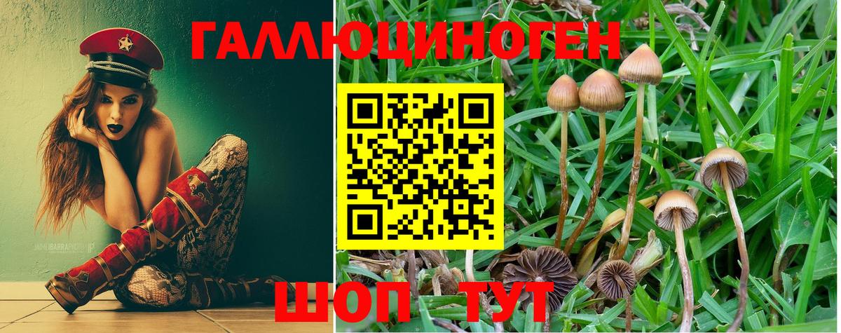 где найти наркотики  Вход с VPN  Нижневартовск  Галлюциногенные грибы Psilocybe 